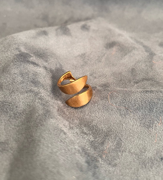 Anello Fish in Argento 925 - Misura 14